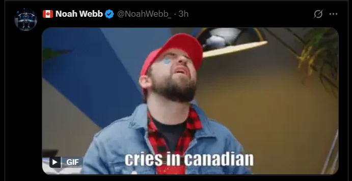 Canadian Tesla owner's reactions