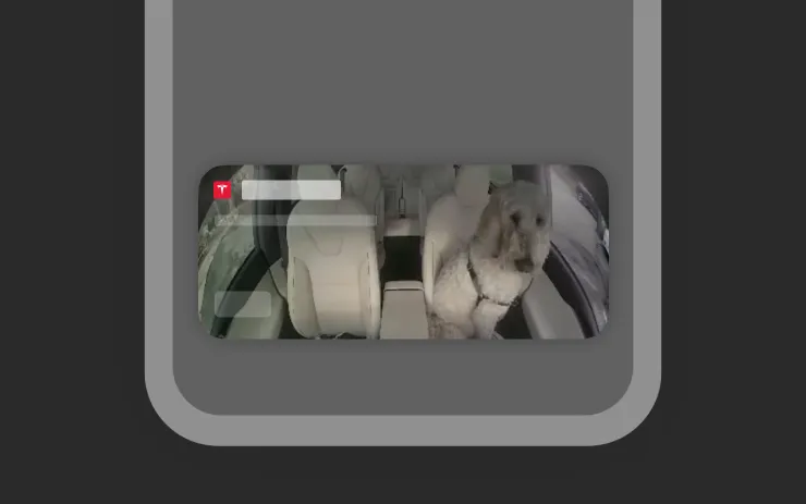 Dog Mode Live Activity on iOS