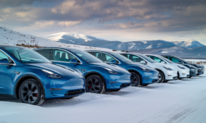 Tesla Celebrates Over 60000 Model Y Fleet in Norway