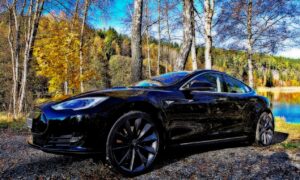 Tesla institutional investors show confidence in the stock