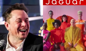 elon trolls jaguar