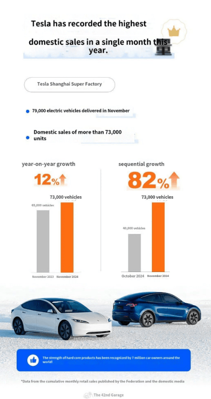 Tesla China Sales Growth in November 2024