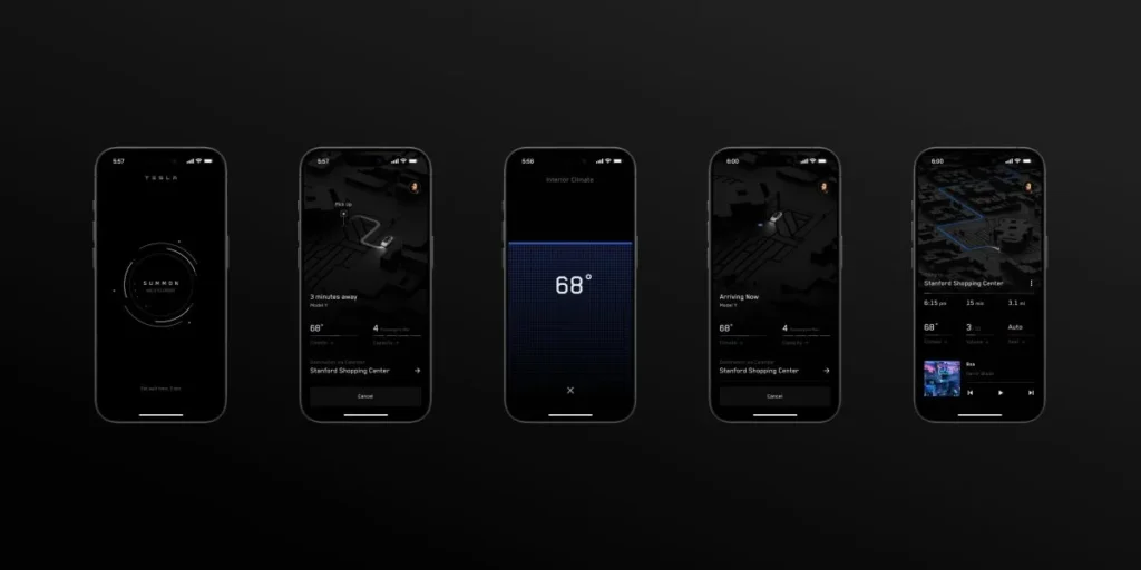 Tesla ride-hailing app