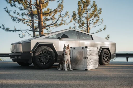 Tesla Cybertruck