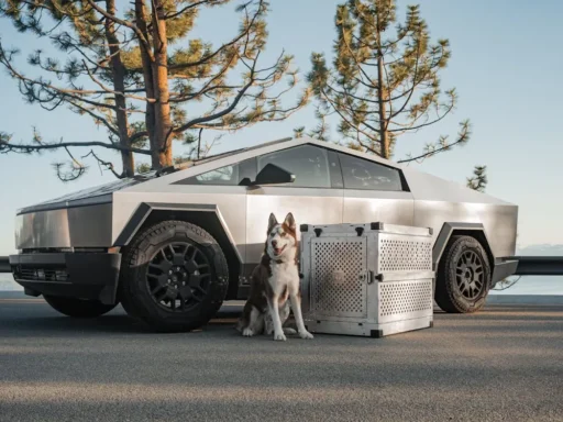 Tesla Cybertruck