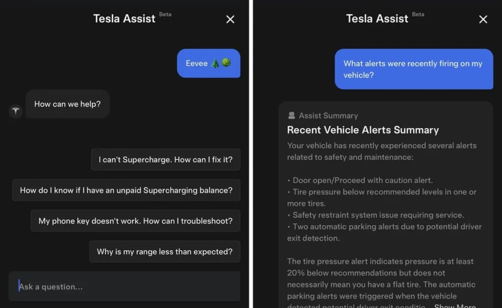 Tesla Assist Beta