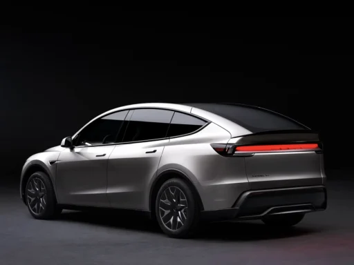 Model Y L New