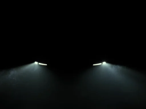 Rumored new Tesla Model Y