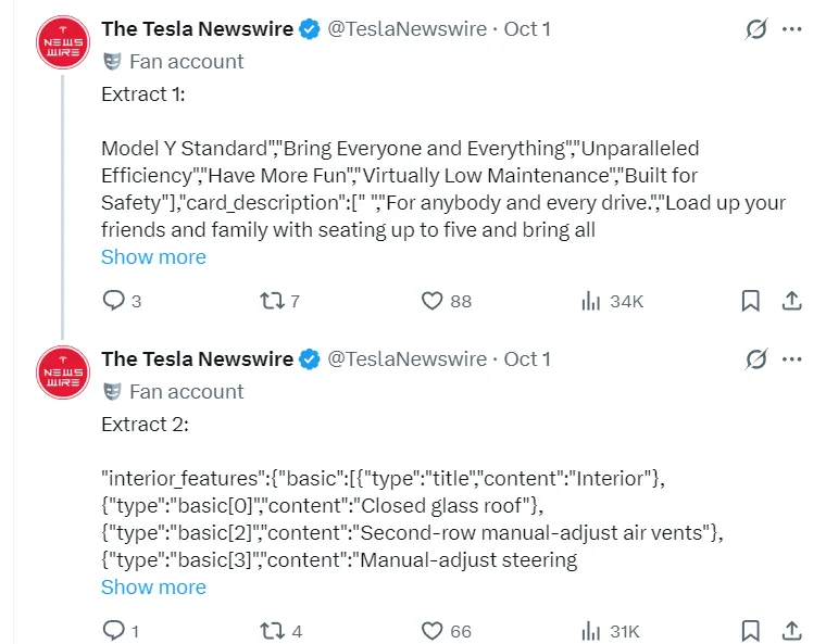 Tesla Model Y standard leak