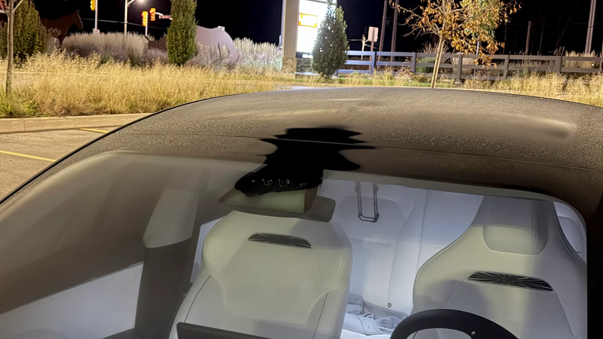 Tesla Vision automatically defrosts its cameras when needed