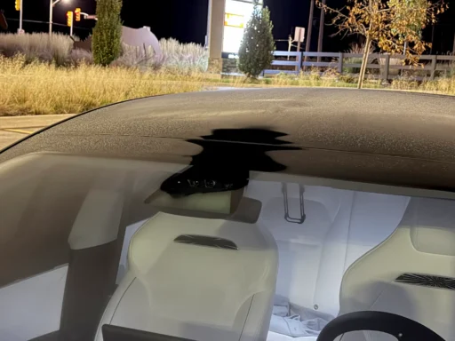 Tesla Vision automatically defrosts its cameras when needed