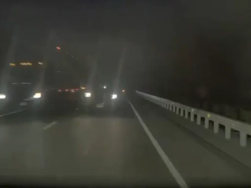 New Mexico: Tesla’s FSD Avoids Collision