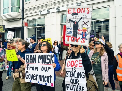 Tesla Takedown Protests