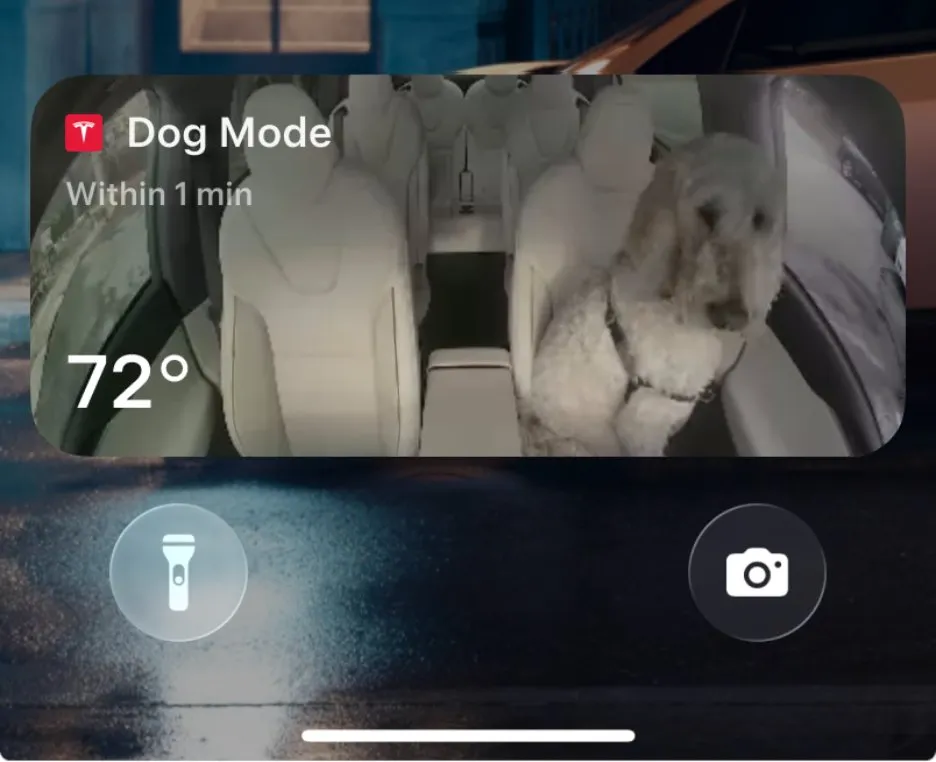 Dog Mode Live Activity