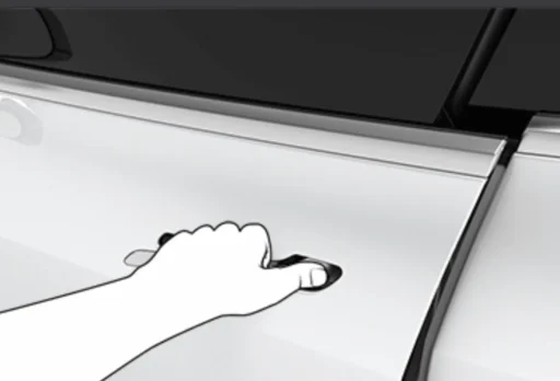 Tesla Door Handle