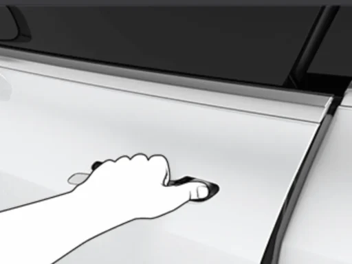 Tesla Door Handle