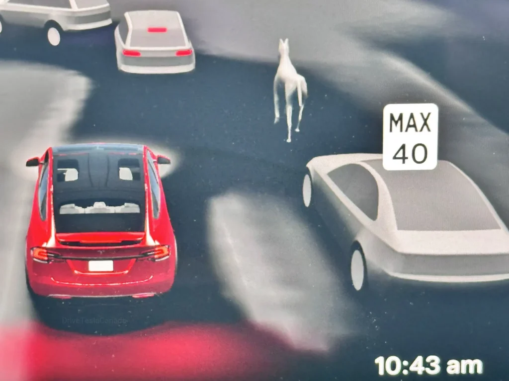 FSD visualizations now include horses