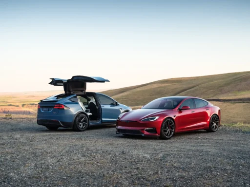 Model S and X