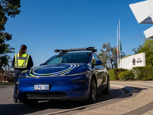 Melville's MelSafe - Model Y