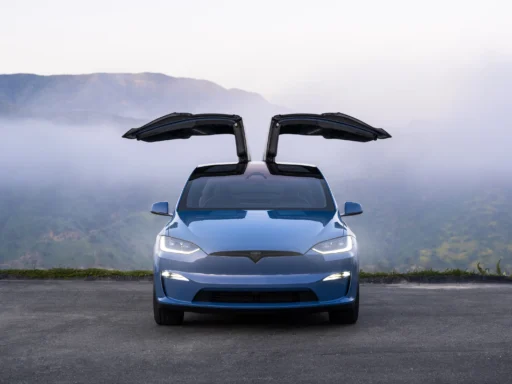 Model X