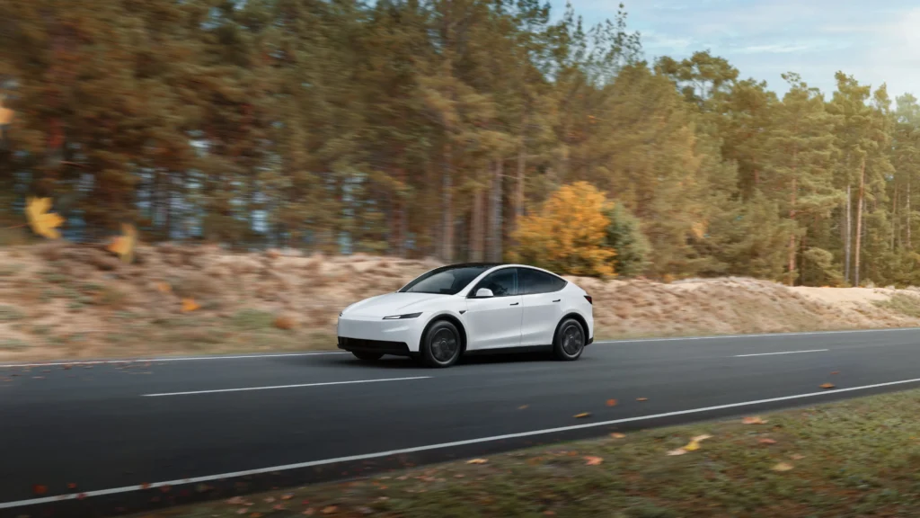 Model Y