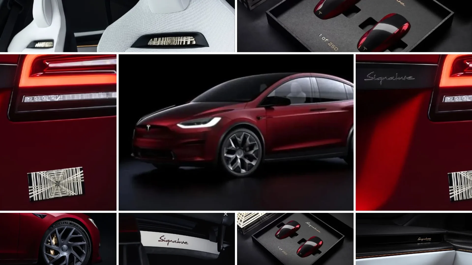 Tesla Model S X Plaid Signature Edition