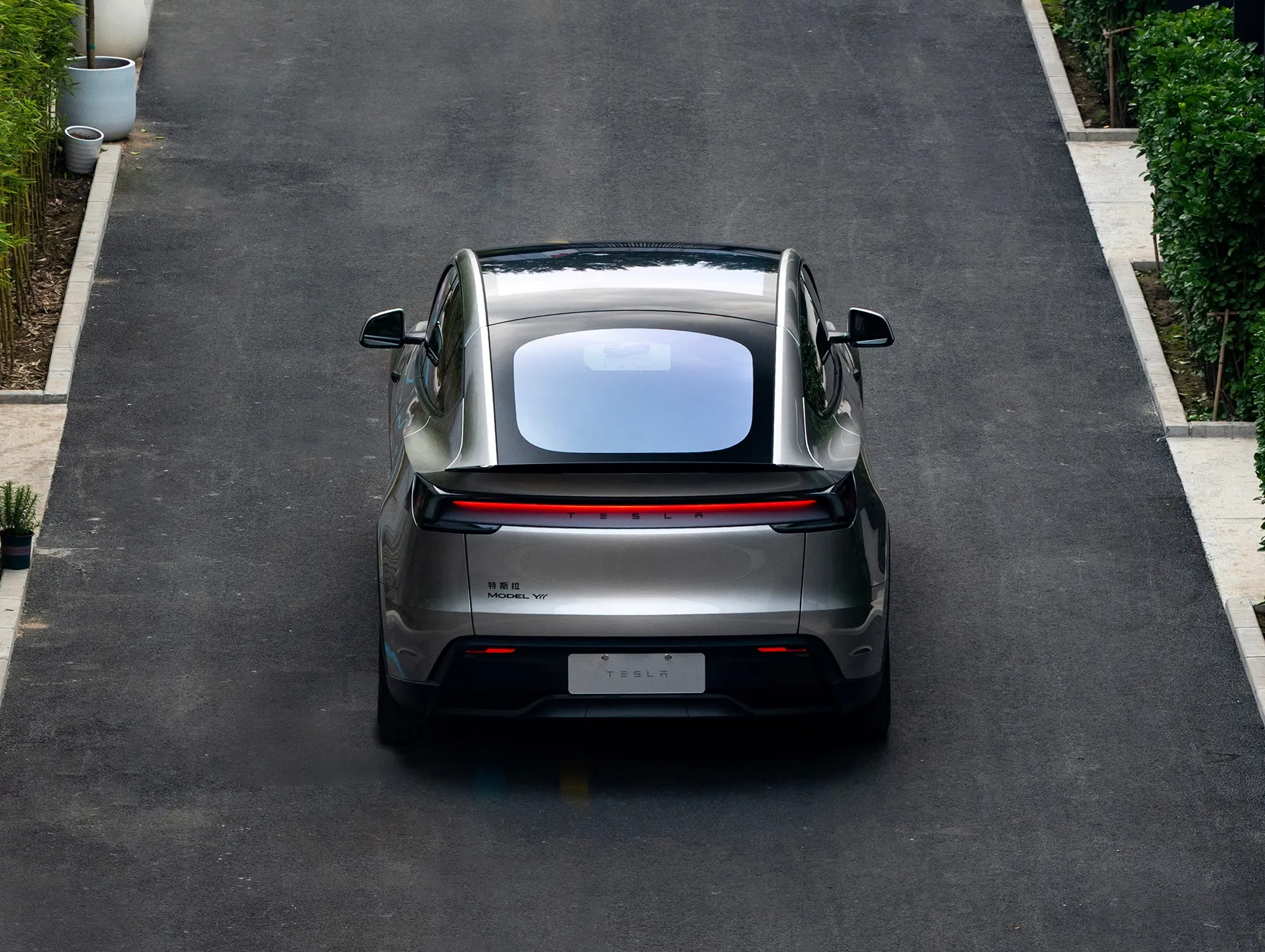 Model Y L Back