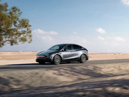 Model Y